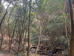 -世间香境·七溪地