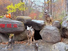 -茅兰沟国家森林公园