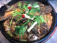 -老板恋上鱼(恒隆广场店)