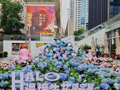 -HALO广场(梨园路店)
