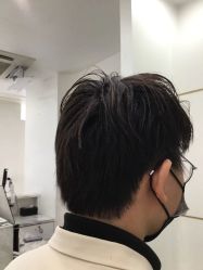 -YESIDO椰岛造型