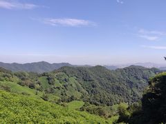 -西湖风景区十里琅珰-五云山