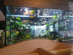 -大家乐(佛山南海店)