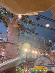 -卡通尼·Safari非洲探索乐园·生日会(金桥国际商业广场店)