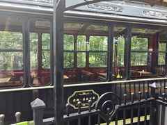 -合肥滨湖国家森林公园