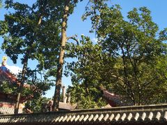 -黔灵山公园-南门售票处
