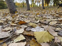 -森林公园(尖草坪区)