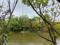 -上海吴淞炮台湾国家湿地公园
