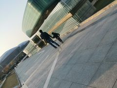 -金陵图书馆