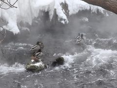 -水磨沟公园