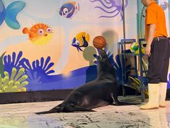 -太平洋海底世界