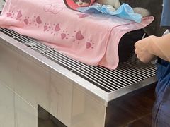 -瑞派紫金宠物医院24小时·骨科·中兽医·重症转诊中心(番禺大石院)