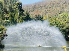 -西双版纳原始森林公园