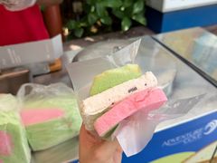 -新加坡水上探险乐园