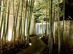 -穹六人间 people 6(岳阳路店)