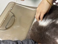 -北京观赏动物医院·24小时大型综合·猫专科·异宠专科