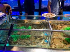 水产区-V-ONE西雅图海鲜自助餐厅(仓山万达广场店)