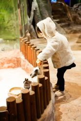 点击看大图 -宝燕乐园(闵行旗舰店)