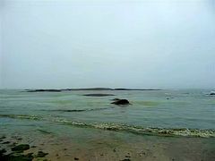 -日照海滨国家森林公园