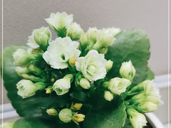 -中国移动南方基地