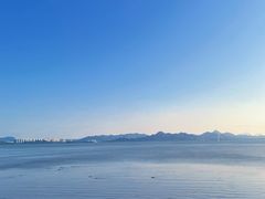 -深圳湾公园(南山区)