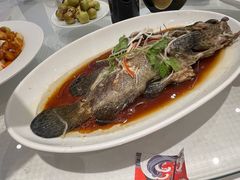 -双井轩(双井店)