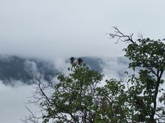 -陕西省红河谷森林公园