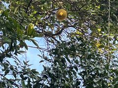 -上海蔡元培故居陈列馆