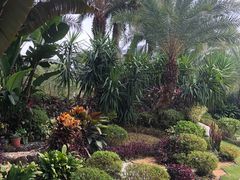 -碧桂园润杨溪谷温泉酒店