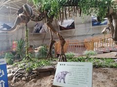 -中国第四纪冰川遗迹陈列馆