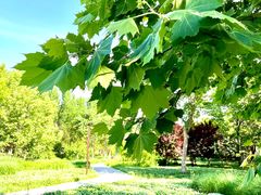 -汉长安城未央宫国家考古遗址公园