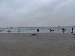 -贝壳沙滩