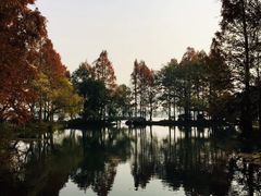 -西湖外事游船(花港观鱼码头)