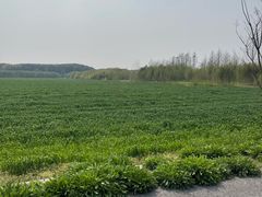 -嘉北郊野公园