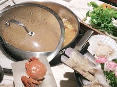 -汤城·料青山