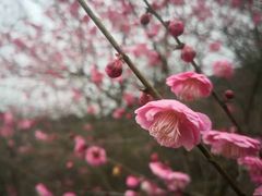 -溪口-滕头旅游景区