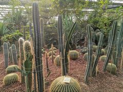 -呀路古热带植物园