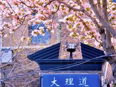 -天津五大道文化旅游区