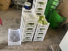 -马陆小张葡萄园农家乐