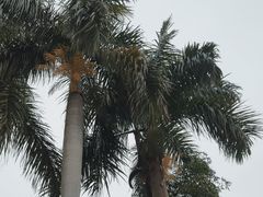 -广州市白云山风景名胜区