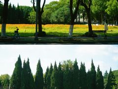 -华东政法大学(松江校区)