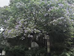 -忠山公园