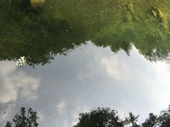 -石台牯牛降景区