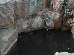 -香雪海