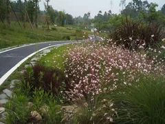 -白鹭湾湿地公园