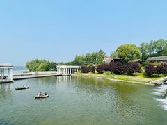 -青龙湖公园