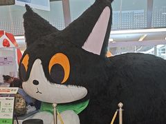 -福田卓悦INTOWN购物中心