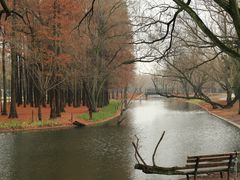 -上海共青森林公园