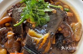 Softshell Turtle and Chicken Kidney Stew