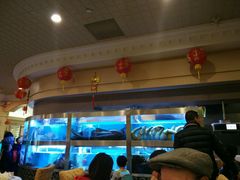 -乙龍天